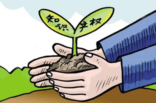 <b>版權(quán)登記流程，辦理版權(quán)登記到哪里？</b>
